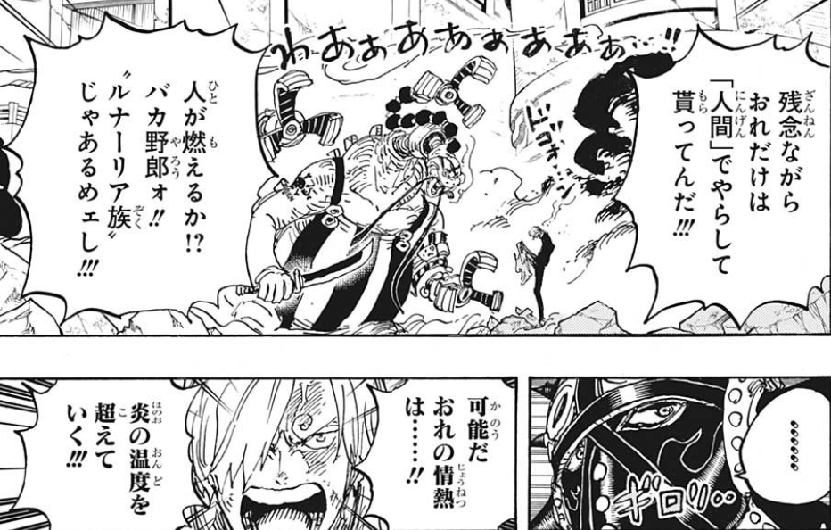 One Piece サンジの炎はルナーリア族 ゾロとリューマの関係判明 第1023話 瓜二つ 内容紹介 レビュー感想考察
